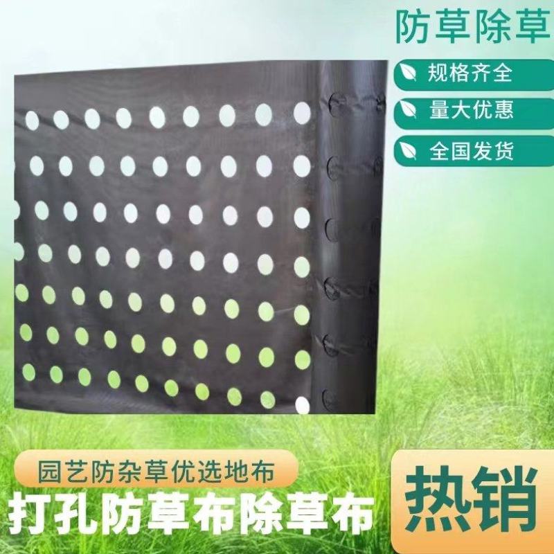 定制药材种植打孔防草布，整卷打孔防草布，单张打孔防草布，