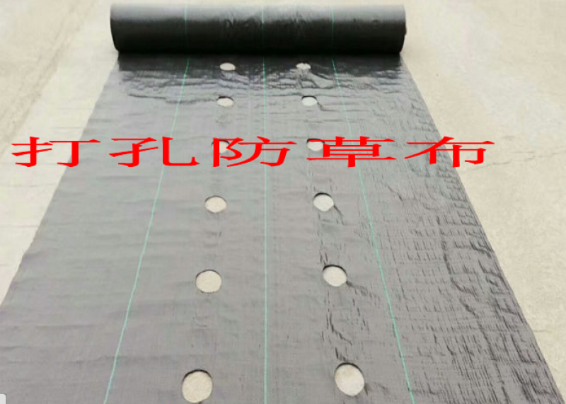 定制药材种植打孔防草布，整卷打孔防草布，单张打孔防草布，