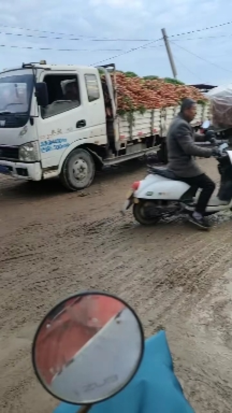 开封胡萝卜精品三红胡萝卜大量上货一手货源价格实惠