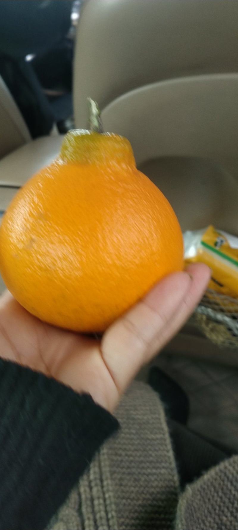 丑橘大量上市，接各种车型量大从优，果型漂亮