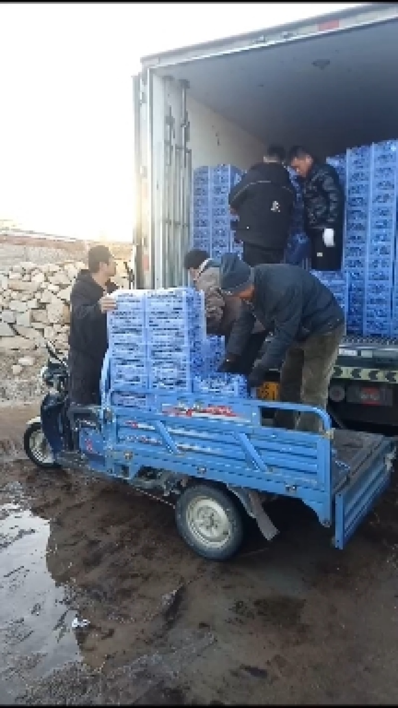 产地批发葡萄一手货源需要质量好的老板联系我