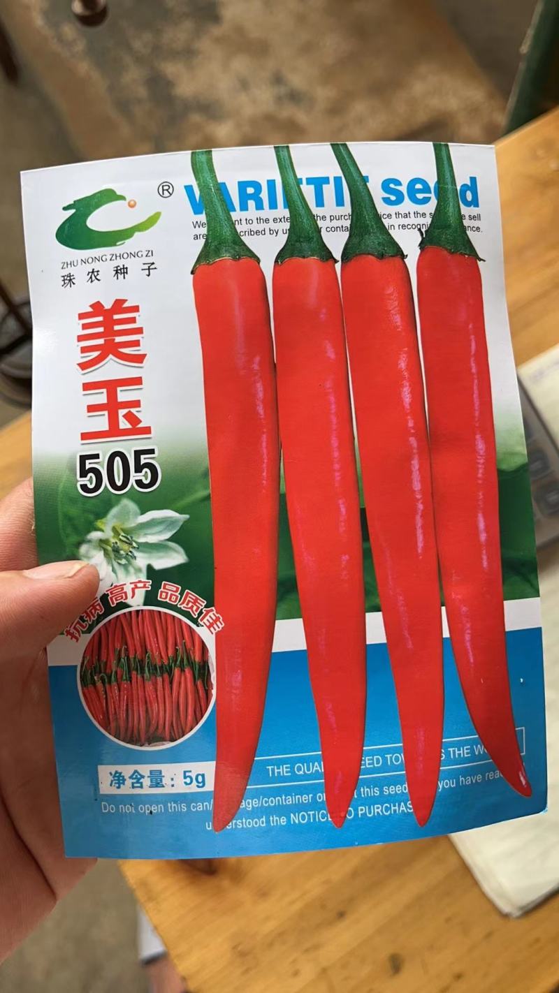 广西红美人椒