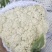 永年有机菜花散花菜货源充足无中间商价格便宜