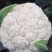 永年有机菜花散花菜货源充足无中间商价格便宜