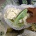 永年有机菜花散花菜货源充足无中间商价格便宜