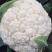 永年有机菜花散花菜货源充足无中间商价格便宜
