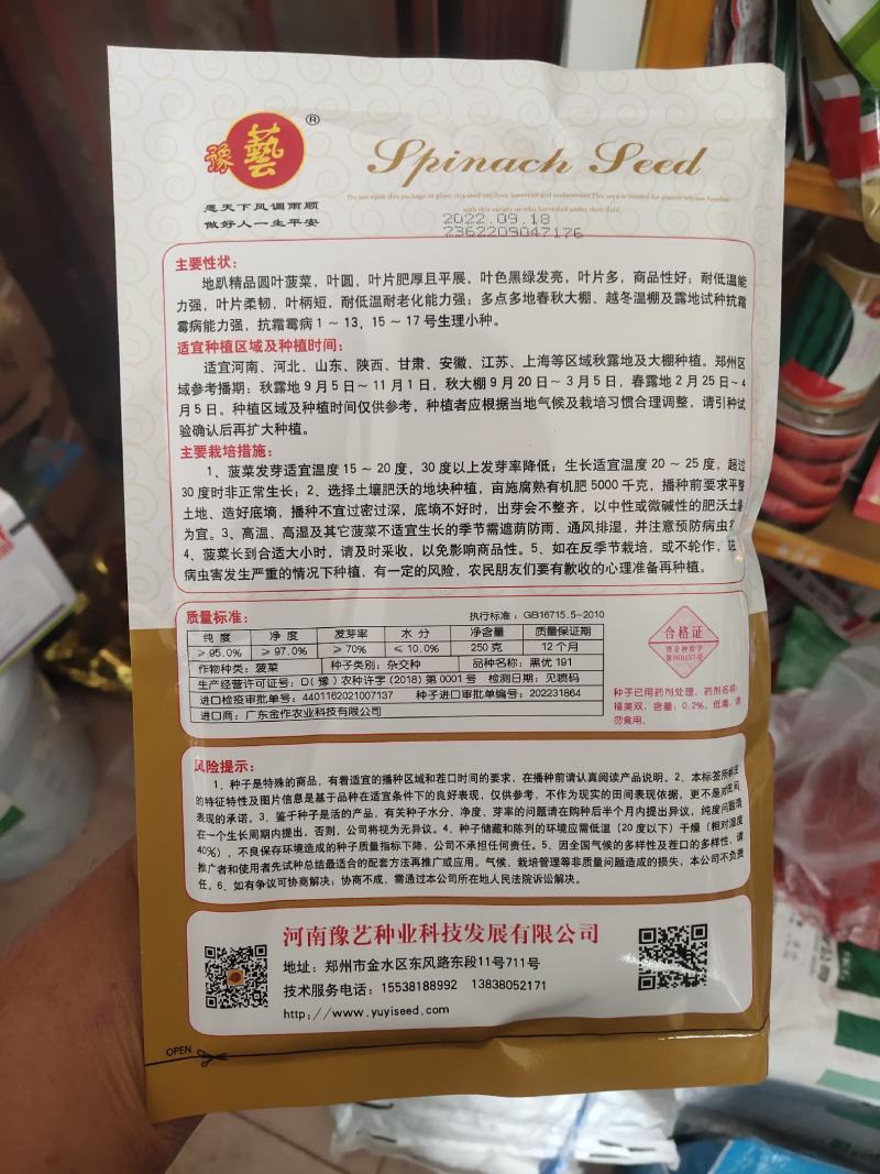 黑优191地趴圆叶菠菜种子春秋大棚越冬温棚露地耐寒匀可种