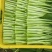 广东菜心菜苔货量充足品质保证量大从优