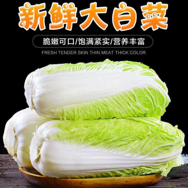 精品湖北玲珑黄大白菜大量有货，物美价廉，欢迎采购