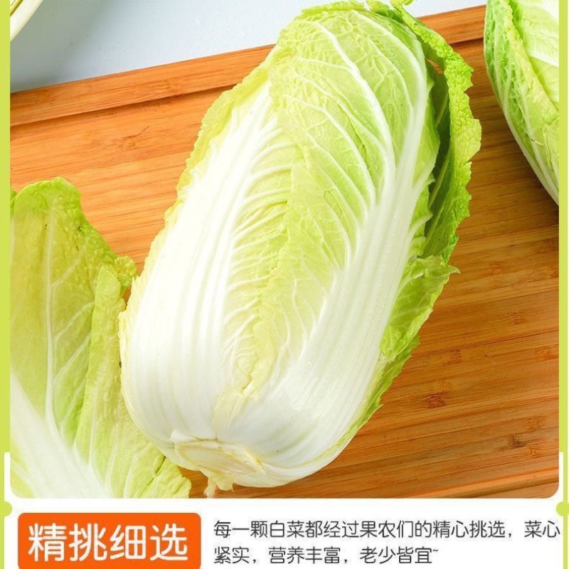 精品湖北玲珑黄大白菜大量有货，物美价廉，欢迎采购