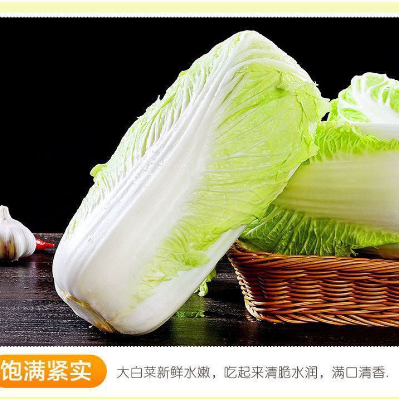 精品湖北玲珑黄大白菜大量有货，物美价廉，欢迎采购
