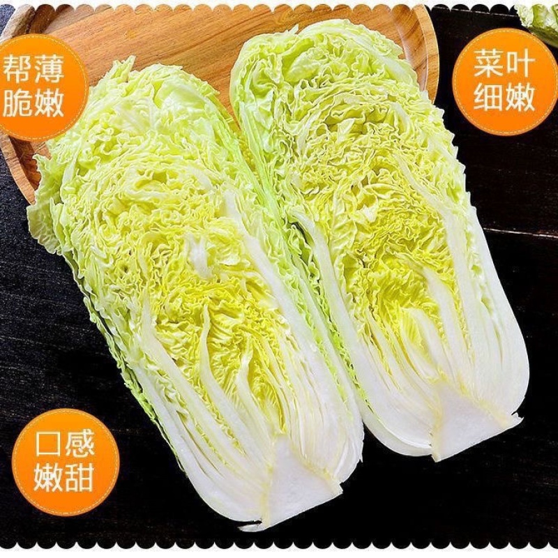精品湖北玲珑黄大白菜大量有货，物美价廉，欢迎采购