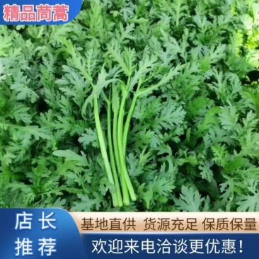 【特价】茼蒿菜品质佳颜色好新鲜保障【商超品质】