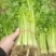 大棚芹菜营养健康品质保证量大从优诚信经营