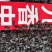 九香虫，中药材九香虫，量大从优，欢迎采购下单
