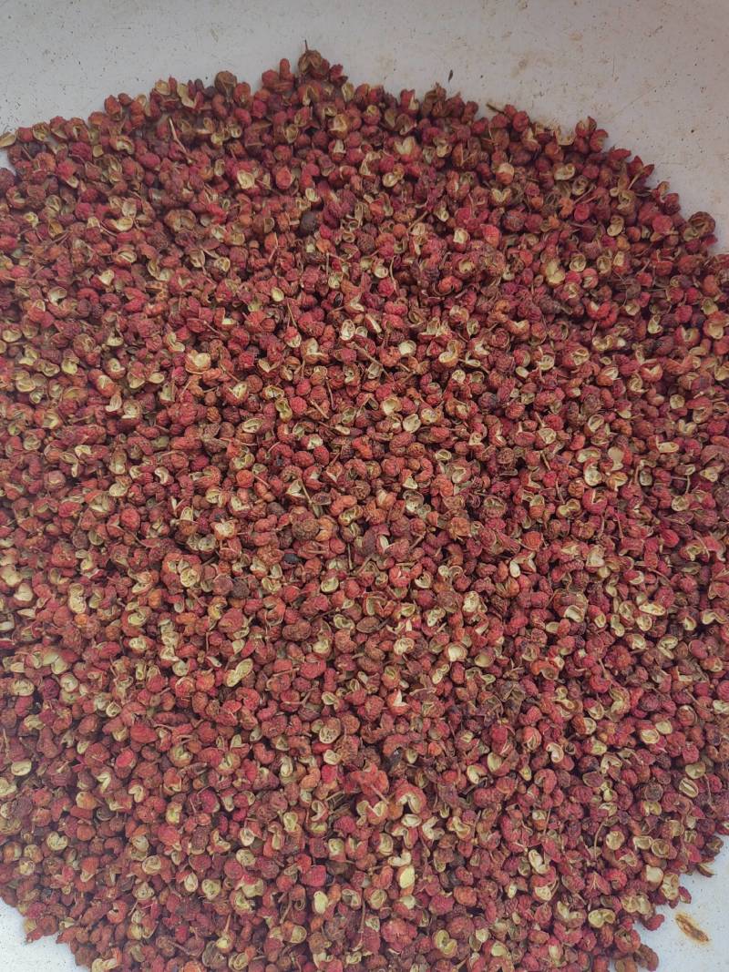 新产大红袍花椒一级干，新产净货