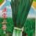 露地韭菜精品～韭宝二号f1韭菜种子，爆发动力性强【休眠】
