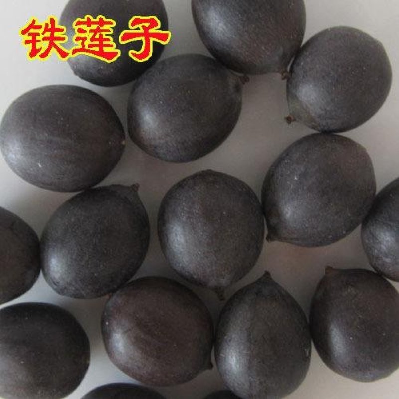 精品铁莲子