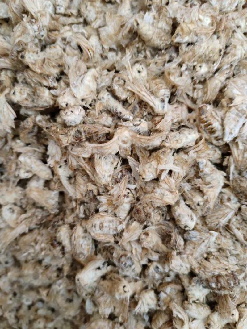 雄蚕蛾，中药材雄蚕蛾，一手货源，量大从优，欢迎采购
