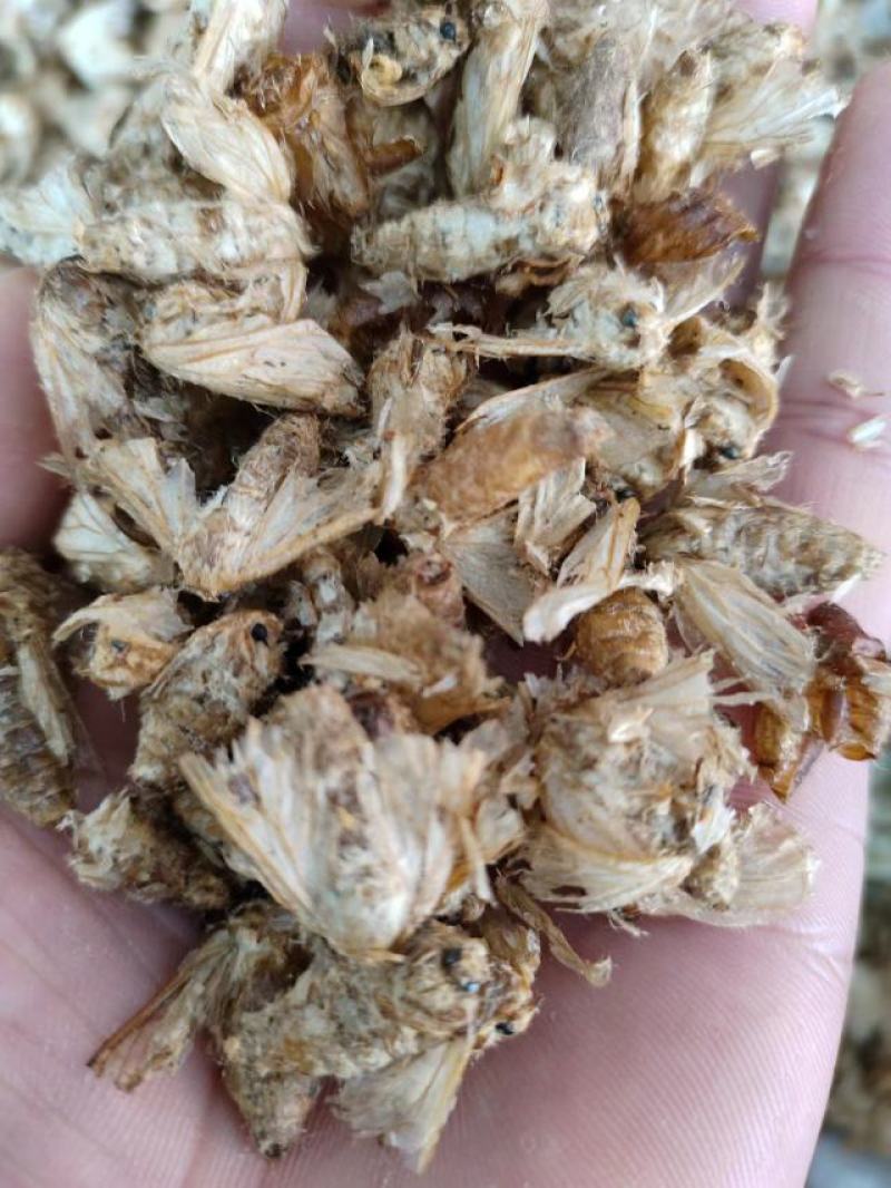 雄蚕蛾，中药材雄蚕蛾，一手货源，量大从优，欢迎采购
