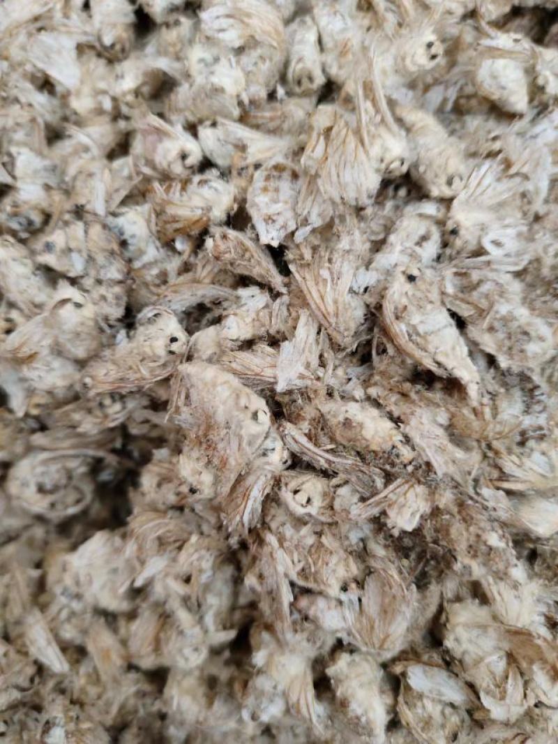 雄蚕蛾，中药材雄蚕蛾，一手货源，量大从优，欢迎采购