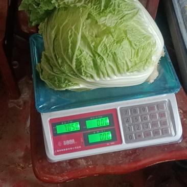 大白菜