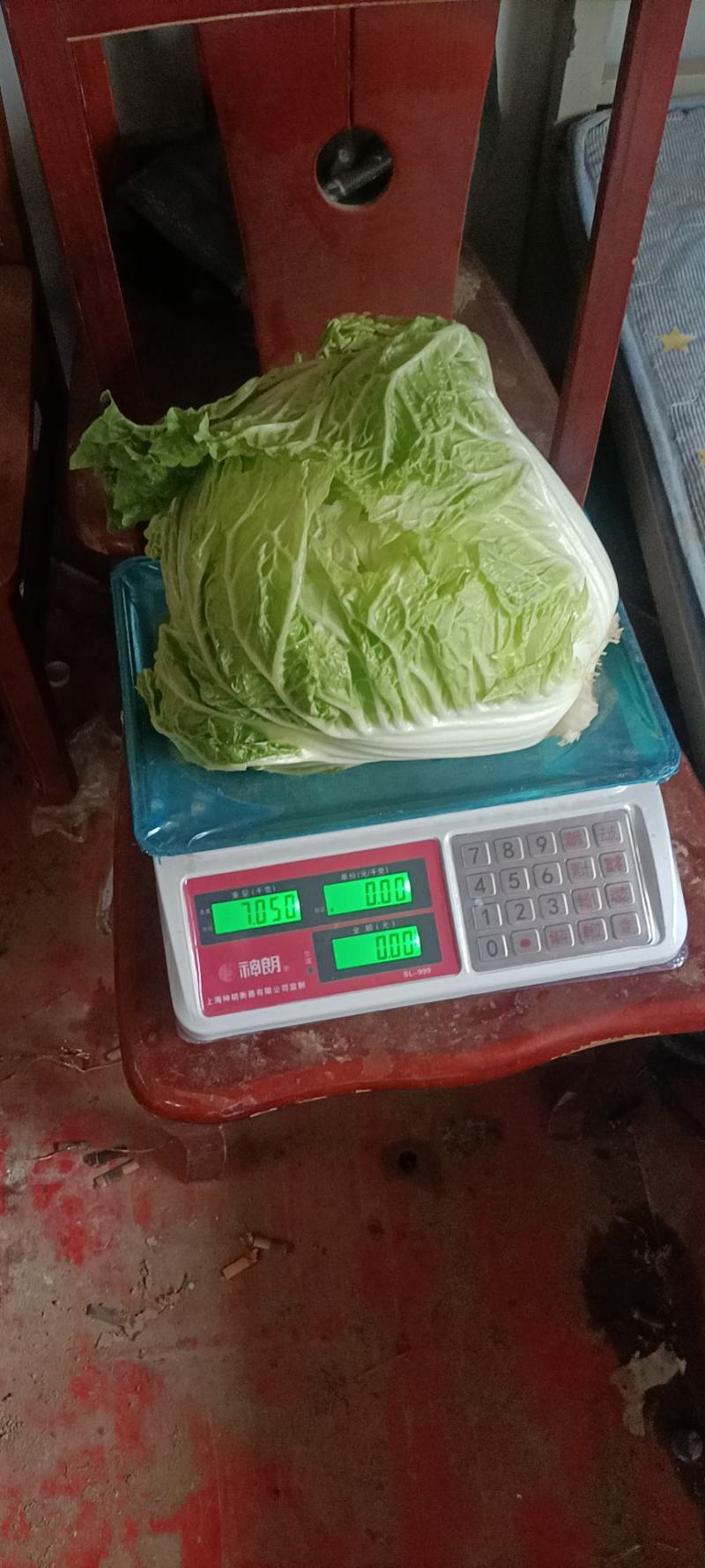 大白菜