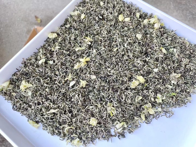 茉莉花茶飘雪细芽嫩叶芽尖茶浓香型广西横州市茉莉花茶