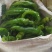 苏椒芜湖椒精品全国代发301螺丝椒产地直发