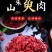 山茱萸野生特级纯肉中药材山茱萸山萸肉精选枣皮泡茶新货