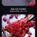 山茱萸野生特级纯肉中药材山茱萸山萸肉精选枣皮泡茶新货