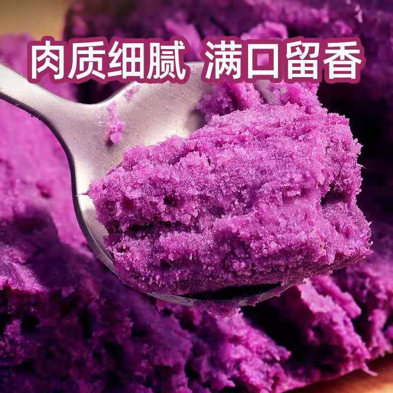 紫薯紫罗兰徐紫各种规格加工厂商品货一件代发团购电商市场批