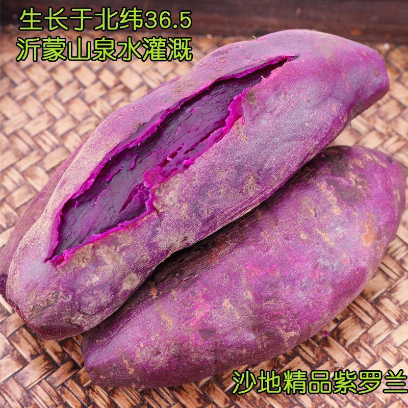 紫薯紫罗兰徐紫各种规格加工厂商品货一件代发团购电商市场批