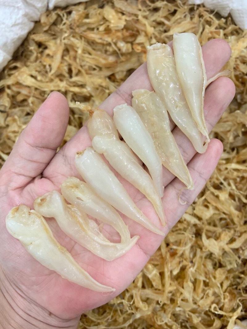 小缅甸黄花胶又称豆仁胶胶质非常好约1000头