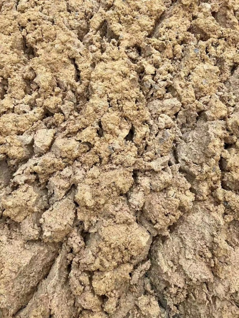 新鲜木薯淀粉渣