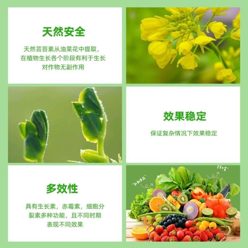 24表芸苔素内酯植物生长调节剂10公斤桶装保花保果促根壮