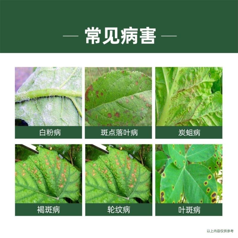 戊唑醇杀菌剂10公斤大包装防治白粉病干腐病蔬菜果树农药