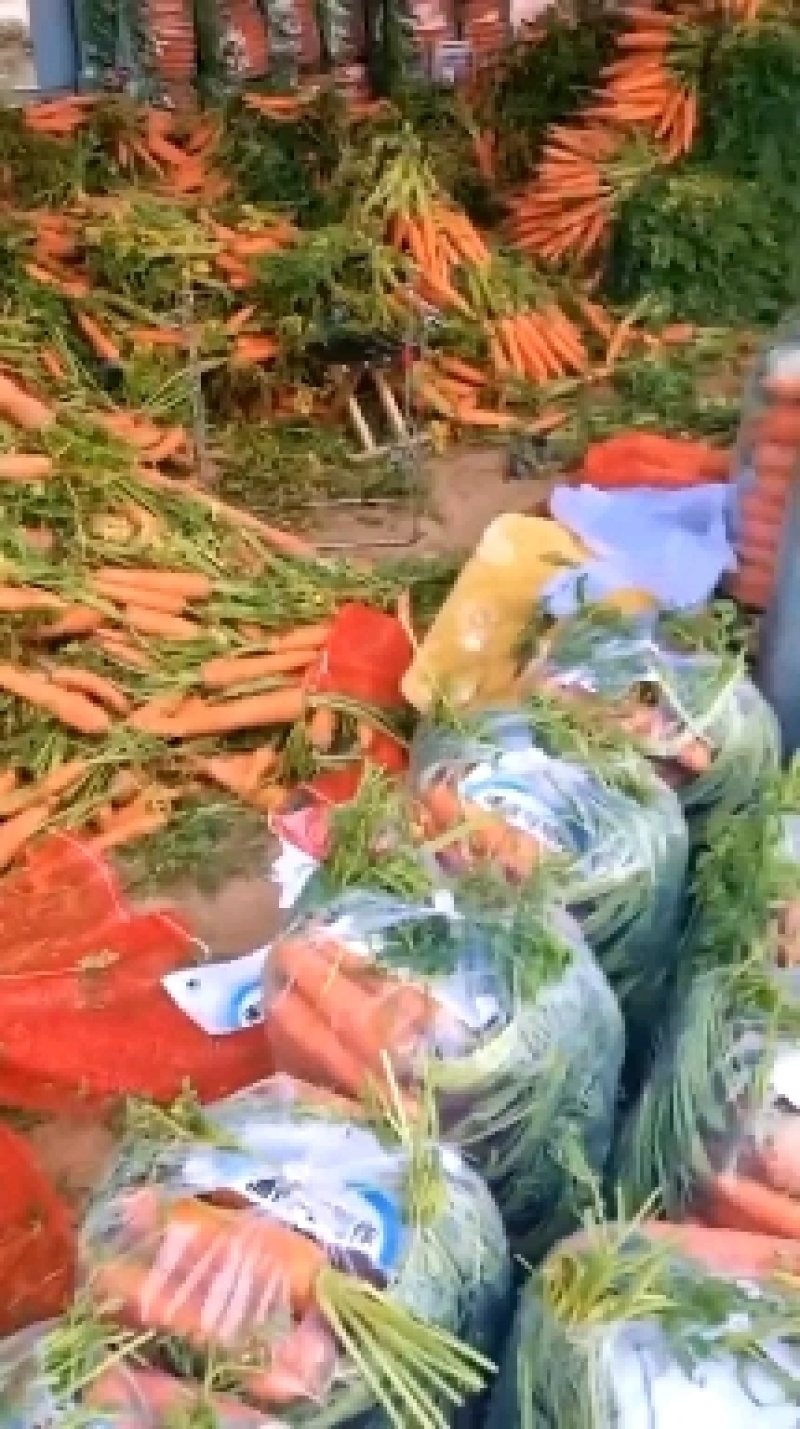 优质胡萝卜，咱俩啥事质量好，价格低，货源充足，质量保证