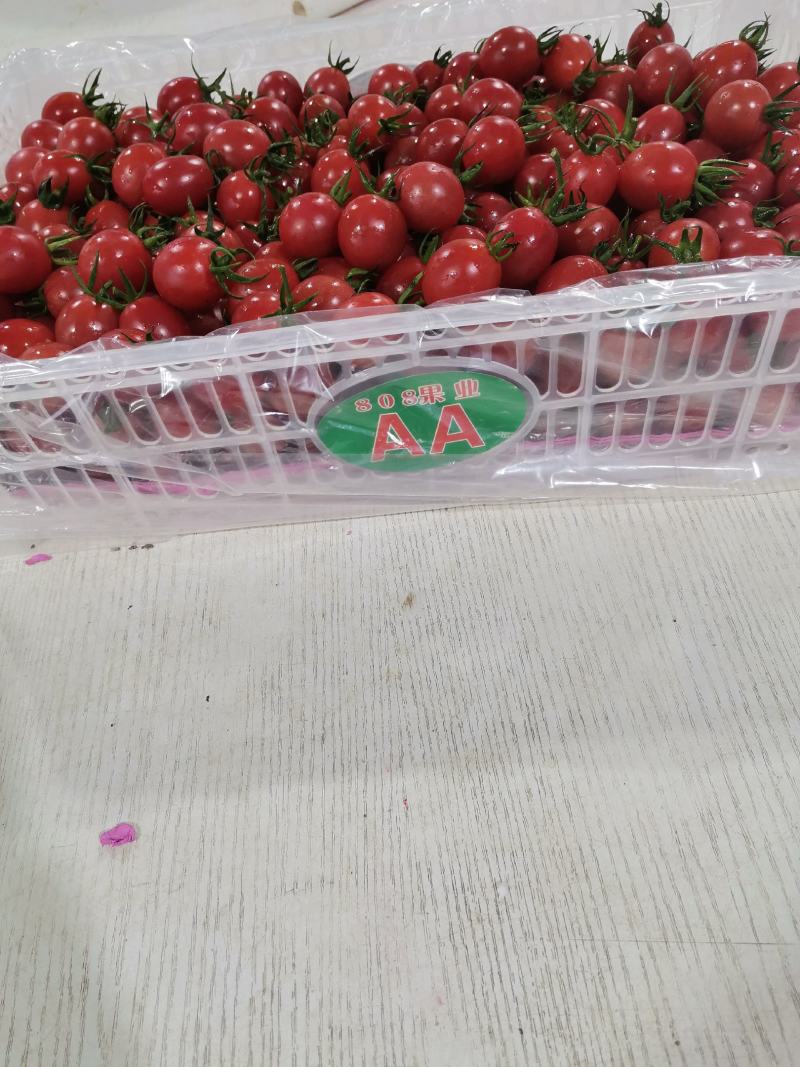 广东电白千禧圣女果社区团购商超市场电商，一件代收代发