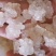 拉丝雪燕拉丝度高颜色纯净干净泡发高