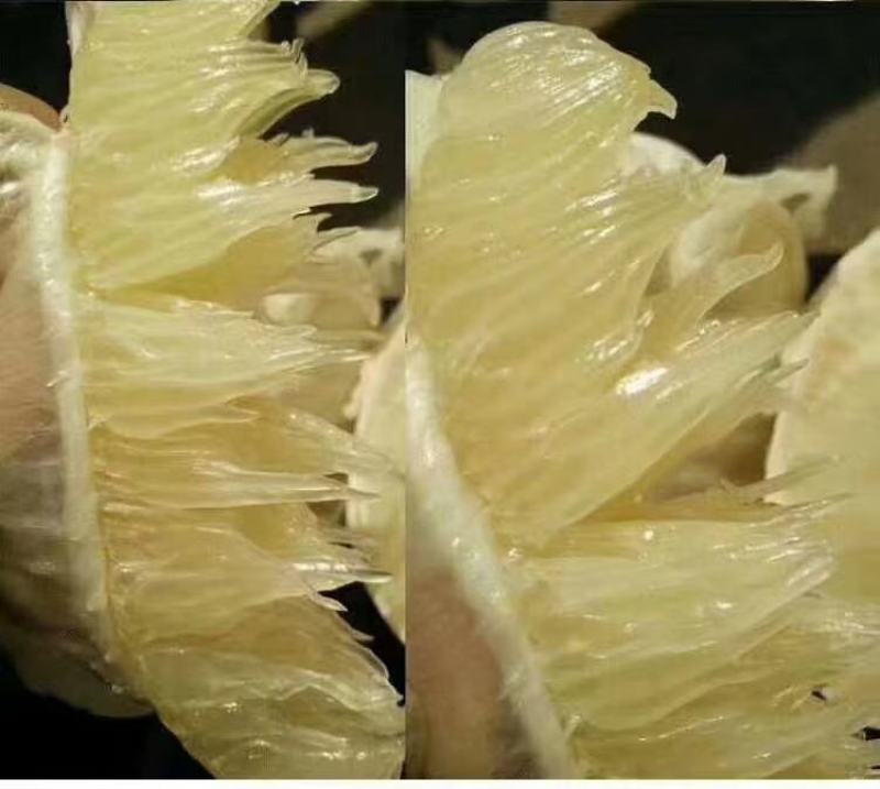 江永老树香柚品质有保障，诚信经营，量大从优，欢迎选购