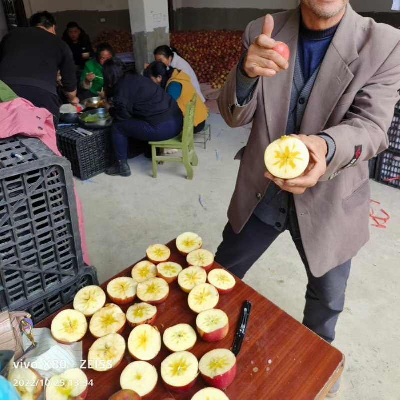 山西糖心苹果