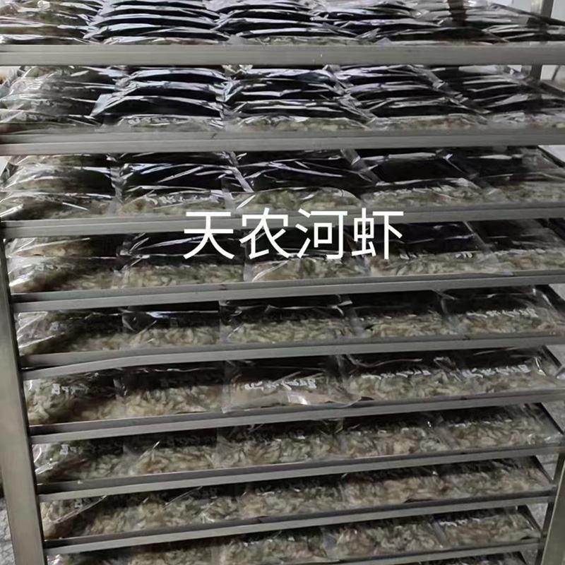 原产地厂价批发活冻河虾青虾600克货源足规格多可定制