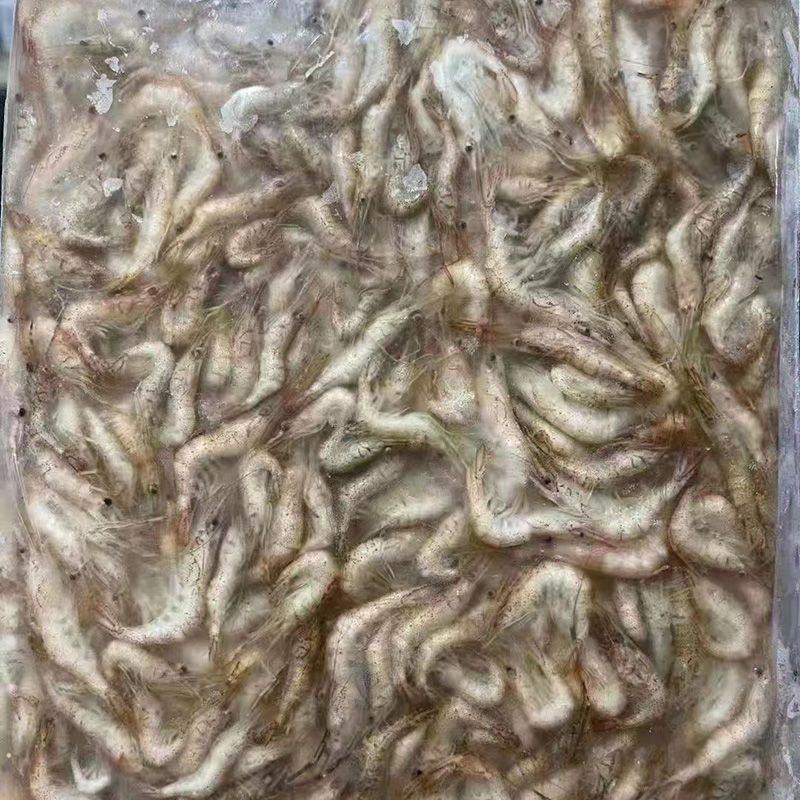 原产地厂价批发活冻河虾青虾600克货源足规格多可定制