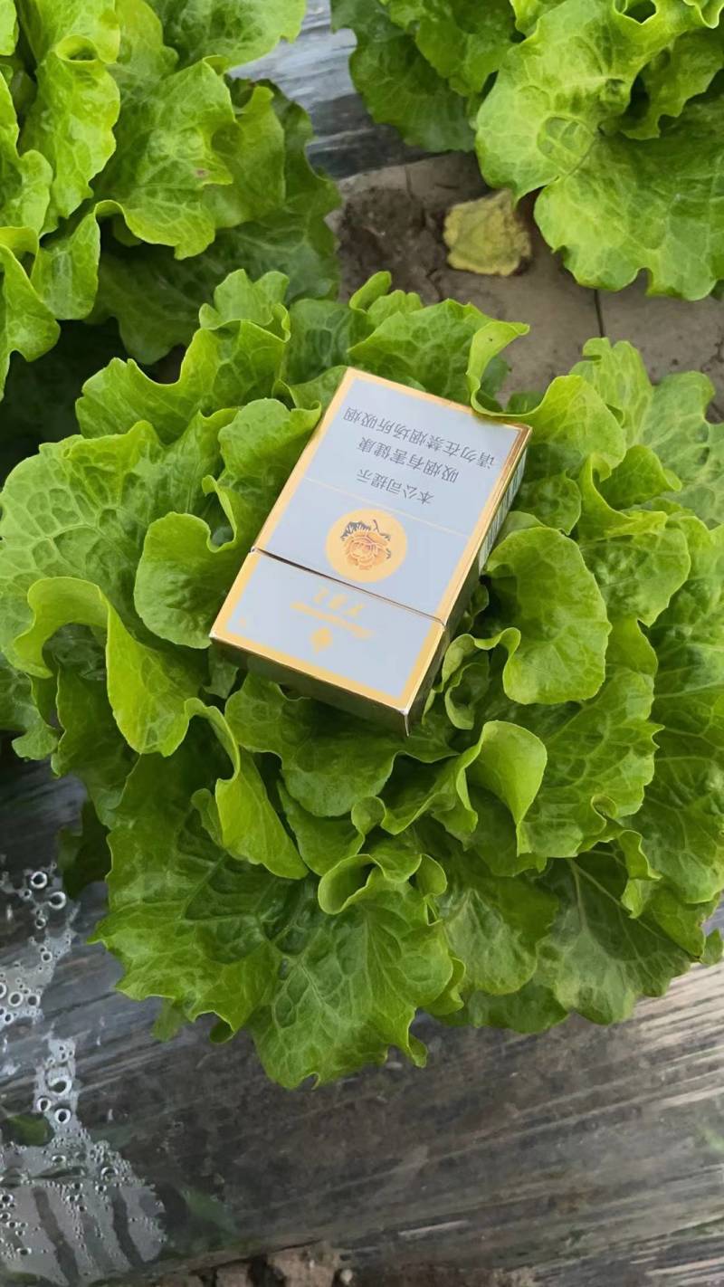 纯生态种植