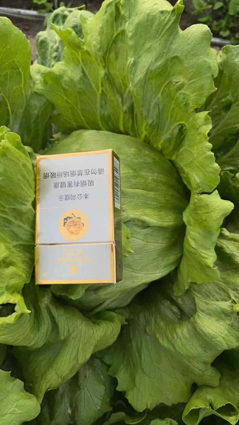 纯生态种植