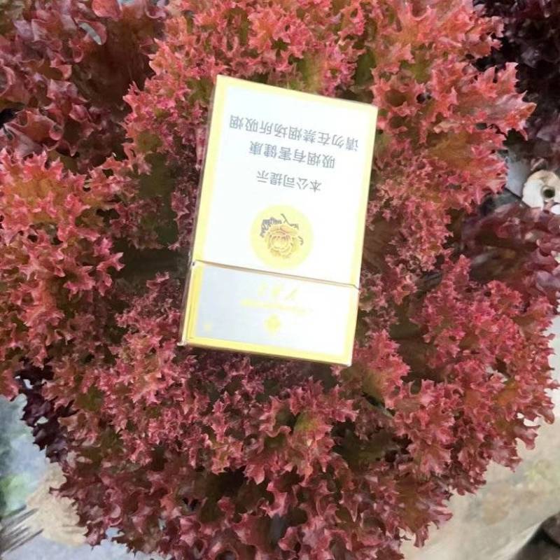 纯生态种植