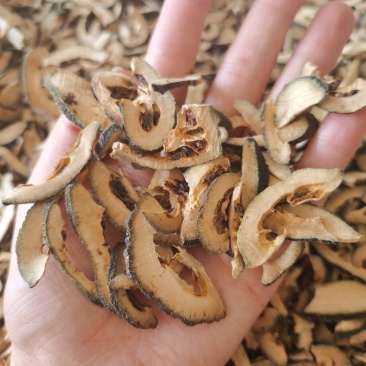 枳壳产地江西选货500克起售无硫熏货干手机实物拍摄