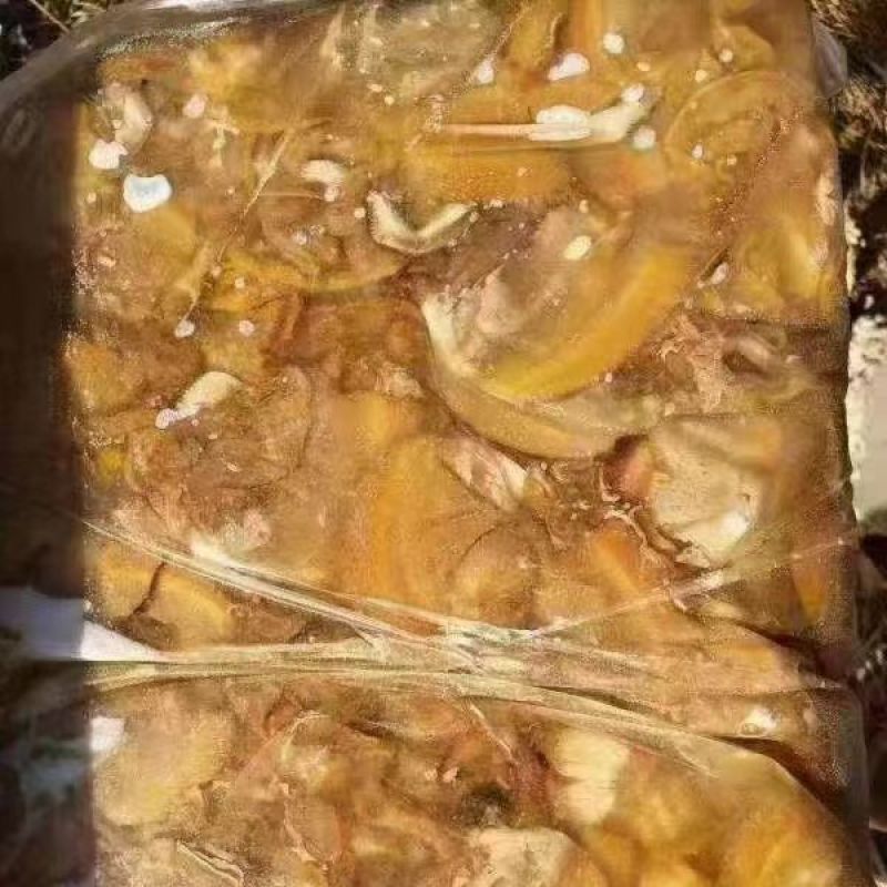 板冻河蚌肉原产地厂价批发冰鲜蚌壳肉原料货源足