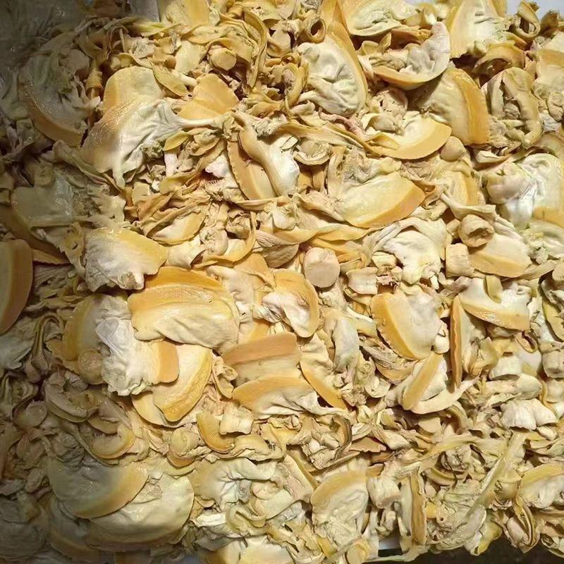 板冻河蚌肉原产地厂价批发冰鲜蚌壳肉原料货源足